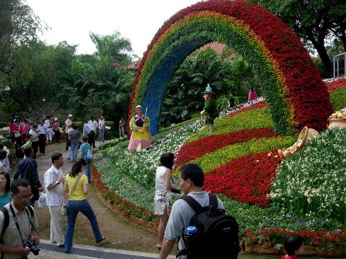 Floral Display - One of the many floral displays at a popular tourist spot in Singapore. Part of the Chinese New Year celebration.