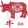 Chinese Ox year - New Ox Year for Chinese