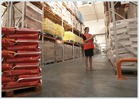 warehouse - the girl working in a warehouse