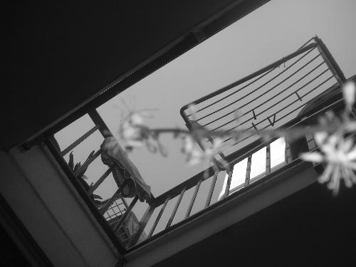 lonely - a photo taken in summer