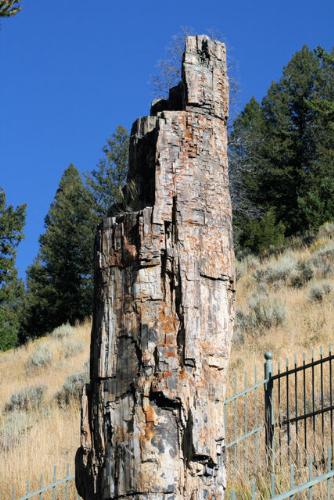 ancient -  ancient building