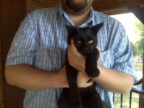 Trouble - This is the littler cat. His name is Trouble.