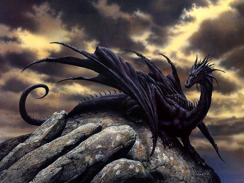 Black dragon - fantasy beast Black dragon - fantasy beast