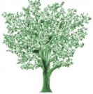 I wish it grew on trees! - money tree