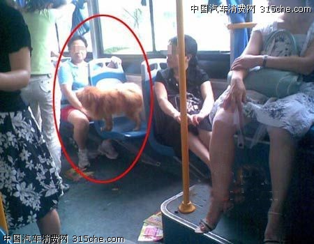 moral level - bus in Chansha city, China