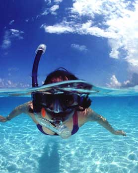 Snorkeling - A girl is snorkeling in the Red Sea. Snorkeling - A girl is snorkeling in the Red Sea.