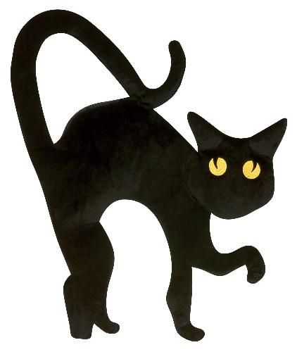 Black cat - Feeling Unlucky?
