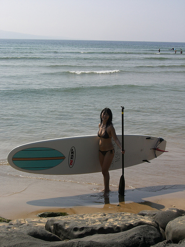 surfer girl - surfer girls surfing on the beach  having some fun! sexy surfer girls