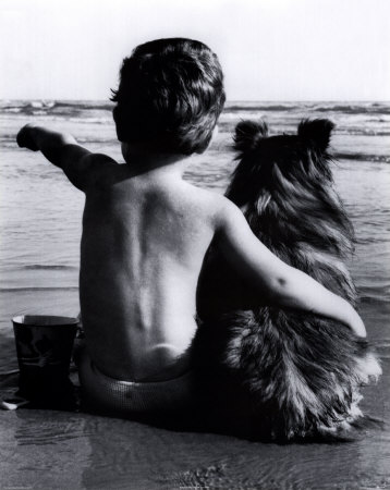 Best friends - a little boy hugs his best friend - a pet dog.