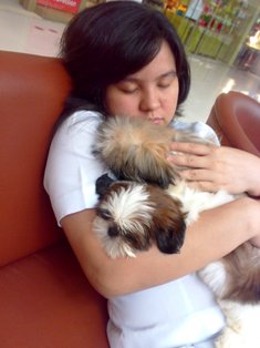 while we are sleeping... - This are sidney and sushi...:) my babies!!!