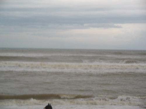 Puri - Puri beatch, still attracts....