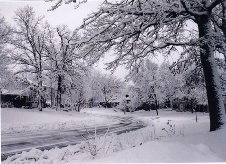 Winters or summers?? - Winters in the golden valley