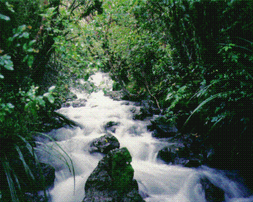 stream - stream in village-side