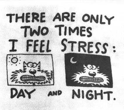 Stress Cat Cartoon - A 1 v1 catoon of when do you get stressed