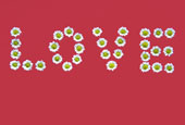 Love - Love written in flowers