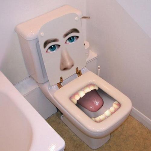 toilet seat  - toilet