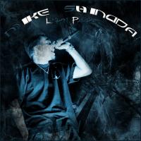 Mike Shinoda - This is one of the Linkin Park singers .. he raps in LP and Fort Minor .. he can play the guitar, play the piano.. he`s so gifted.. In two words: He rulzzz :)