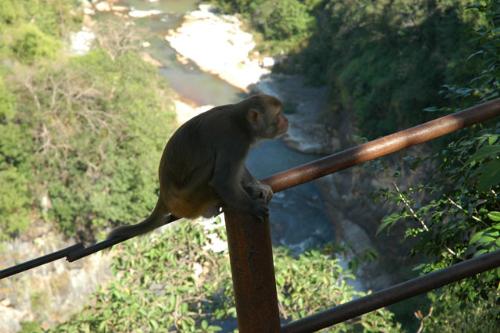araku valley,imdia - picturesque scenaries in the valley of Araku,AP,Omdia
