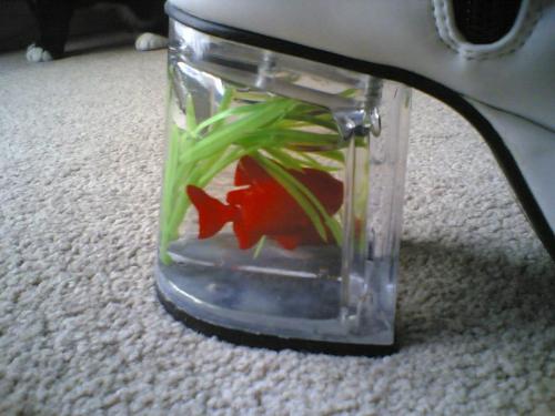 Goldfish shoes! - Great for times you end up in the middle of nowhere and get hungry I guess! lol.