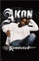 akon pop singer - akon konvicted konvict