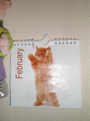 My clipped kitty calender - This calender was specific with it's dates for 2008, it also named the type of days aswell as the 'numbers'. I saved the images because they look nice. It's like an extra portrait on the wall that changes each month ;-)