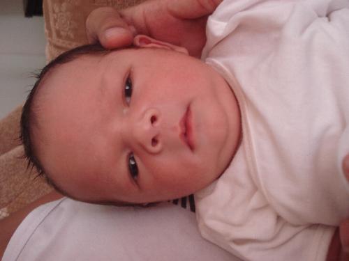 mixed blood - The baby is a combination of Filipino and American blood.