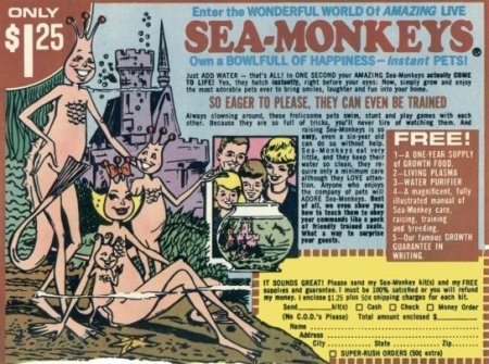 Sea Monkeys - Don't believe the hype people......THEY'RE PLANKTON!!!