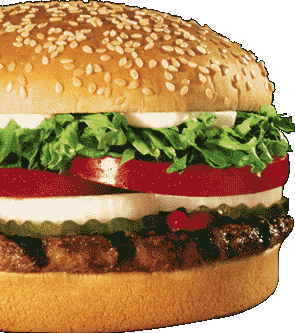 junk food - Burgers and fries..are they junk??