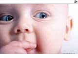 Cute Babies - baby