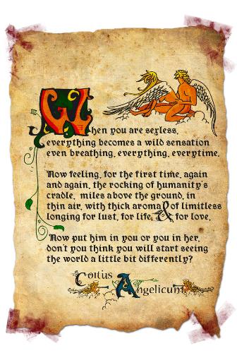 coitus angelicum - an erotic illustration i did with the emphasis of the image looking old and mystic, i made it in illustrator and photoshop