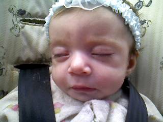 Little Faith - Faith is 4 months old and wieghs 8 lbs.. We wre at work when i took this photo.