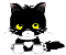 Cat avatar - balck and white cat avatar