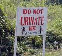do not  - urinate