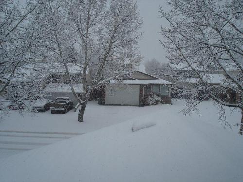 Calgary - Calgary Canada very snowy!