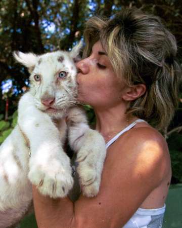 white tiger - white tiger awesome