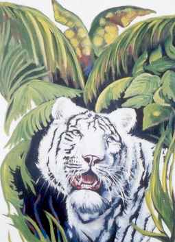 white tiger - white tiger awesome