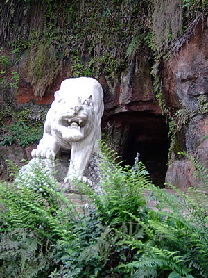 white tiger - white tiger awesome