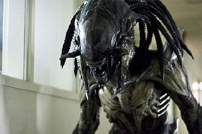 the predator - the predator this picture is the hybrid one with alien and predator together so dont get it mixed up