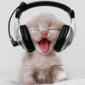 yea h yeah yeah oh oh oh.. - i JUST LOVE SINGING..and my cat just loves music and listen to me
