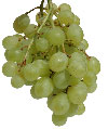 Bunch of grapes - Grapes hang in a cluster that has the shape of the heart.