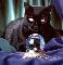 Cat are so special - I have 6 cats and boy are they different from each other I have to deal with 6 personalities.