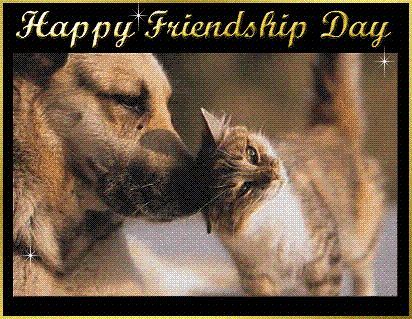 Best friend - 'True Friendship comes when silence between two people is comfortable'