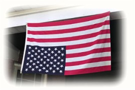 A nation in urgent distress - If we continue to allow President Obama to ignore our Constitution, and rework our Constitution to his liking, we are a nation doomed.