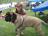 Fill In The Blankie unofficial online Spokesperson - This is me in Colorado with the biggest dog have ever seen... or maybe its a short horse?