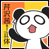 Asian Panda - Asian Pandas rule the world!