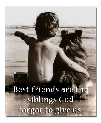 Friends are the family God never gave us - The photo and words are a reminder of how important friends and pets are. They can, and often do make us feel more loved than our families of origin.