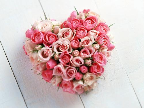Valentine Flower - Pinky Valentine Flower