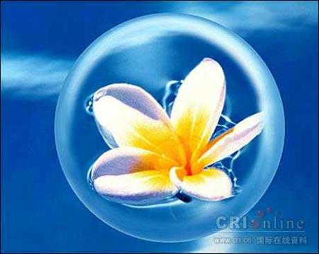 flower - this is very nice