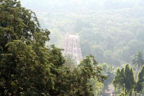 simhachalam - Simhachalam : Located 16 kms north-east of Visakhapatnam, Simhachalam is a famous 11 th century temple dedicated to Lord Narasimha - a combination of the Varaha and the Narasimha - the incarnations of Vishnu.