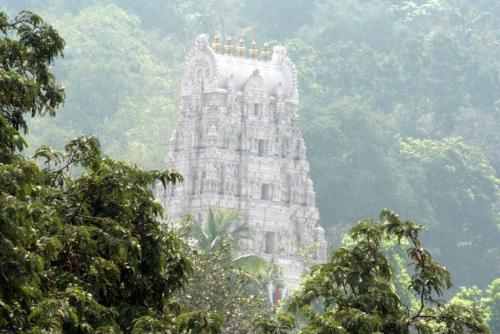 simhachalam - Simhachalam : Located 16 kms north-east of Visakhapatnam, Simhachalam is a famous 11 th century temple dedicated to Lord Narasimha - a combination of the Varaha and the Narasimha - the incarnations of Vishnu.